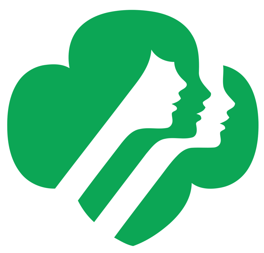 Girl Scout Troop Public Speaking
